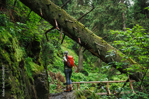 Female hiker with backpack walks on forest trekking trail. Woman hiking in woodland. Adventure in nature
