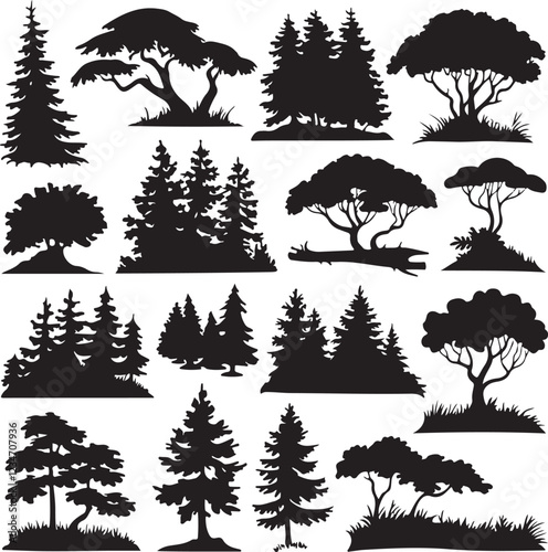 Various kinds of tree set vector .