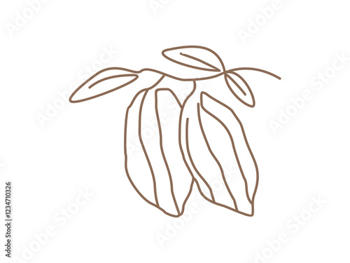 Cacao bean design vector illustration on transparent background