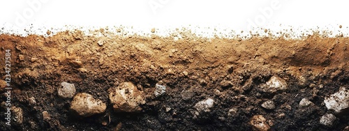 Wallpaper Mural The soil is rich in organic matter, covered with dirt and stones on the surface, against a white background, with a panoramic view and a top-down perspective Torontodigital.ca