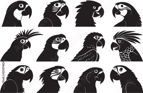 A variant style of macaw silhouette vector, macaw bird head silhouette, flat birds icon illustration design, isolated on a white background.