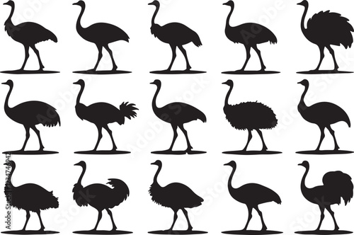 A variant style of ostrich silhouette vector, walking black silhouette, flat birds icon illustration design, isolated on a white background.
