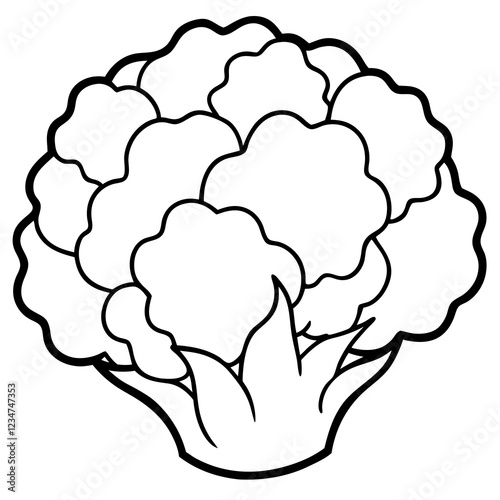 Geometric Cauliflower Art Illustration