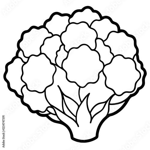 Geometric Cauliflower Art Illustration