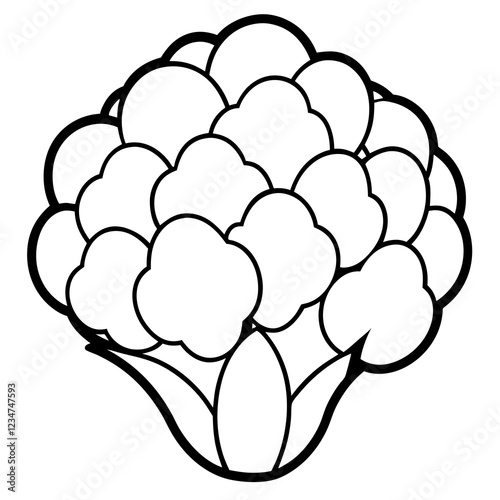 Geometric Cauliflower Art Illustration
