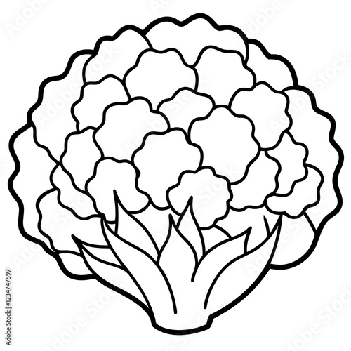 Geometric Cauliflower Art Illustration