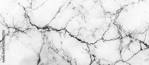 Black and white marble texture with veining pattern ideal for backgrounds and surfaces with Copy Space