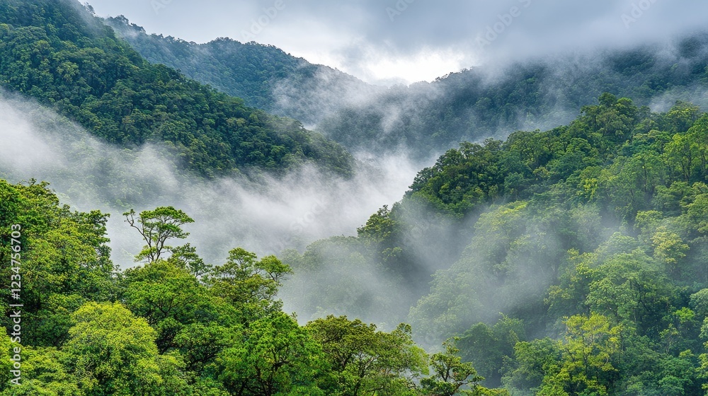Fototapeta premium Misty Mountain Rainforest Landscape Lush green foliage shrouded in fog, valley view, nature background, travel postcard