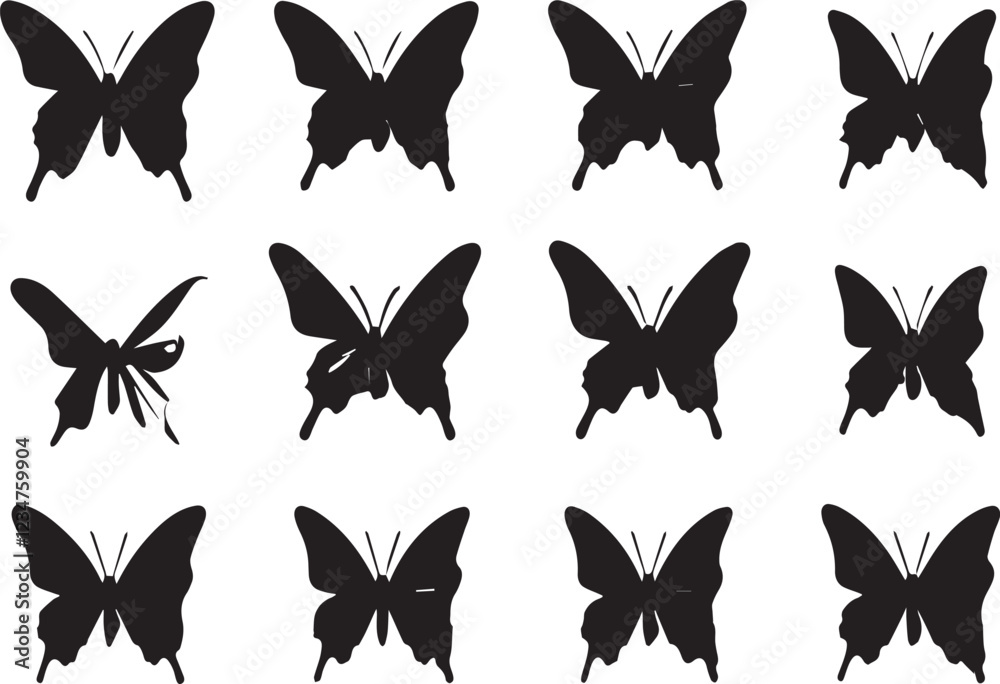 butterfly vector butterfly vector
