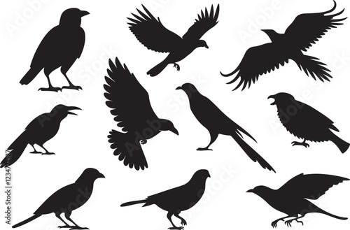 A variant style of bird silhouette vector, flying birds silhouette, flat bird icon illustration design, isolated on a white background.