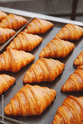 Freshly Baked Golden Croissants on a Tray