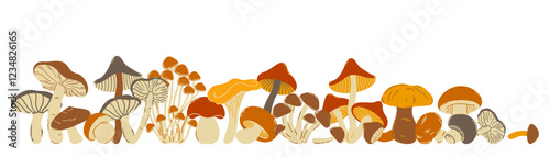 Vector illustration of natural forest mushrooms of the lower frame on a white background. Doodle styles.