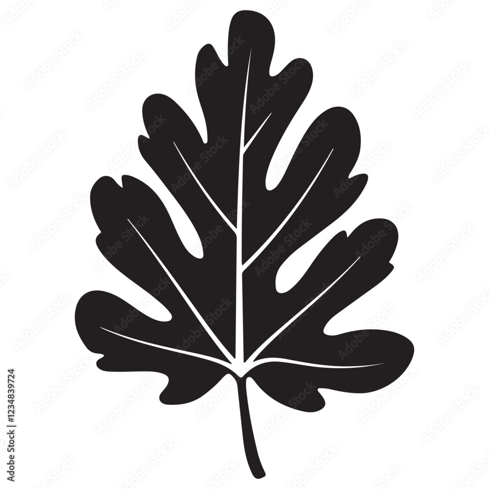 Aspen Leaf Silhouette vector illustration, Silhouette Vector Illustration Aspen Leaf Silhouette vector illustration, Silhouette Vector Illustration
