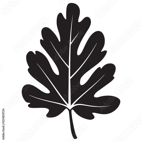 Aspen Leaf Silhouette vector illustration, Silhouette Vector Illustration