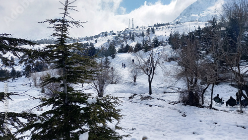 snow view