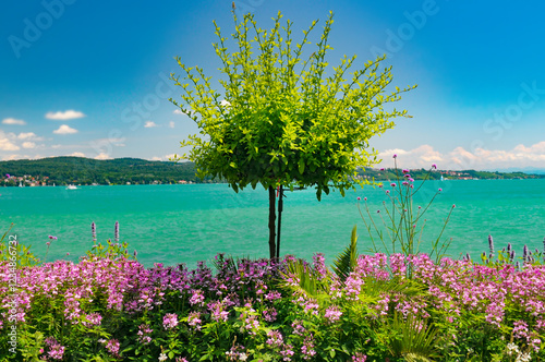 Isle of Mainau flower garden lake of constance germany photo