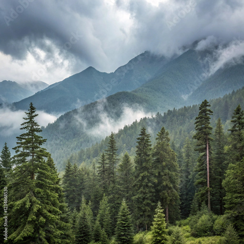 Canvas Print fog in the mountains