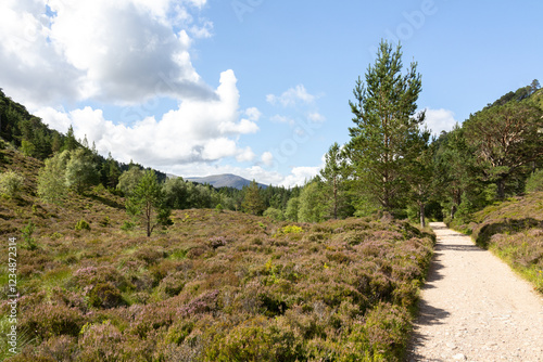 Chemin de randonnée dans les cairngorms photo