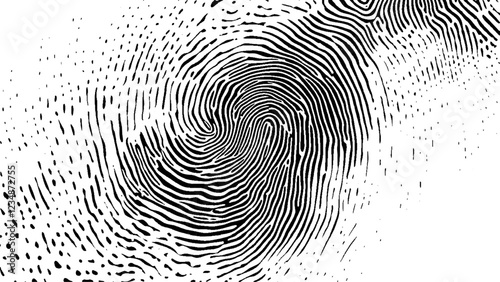 Black and white fingerprint on isolated background, vector illustration, high resolution photography, insanely detailed, fine details