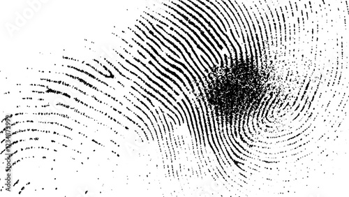 Fingerprint on a white background. Seamless pattern with black and white fingerprint on isolated background, vector illustration, high resolution photography, 