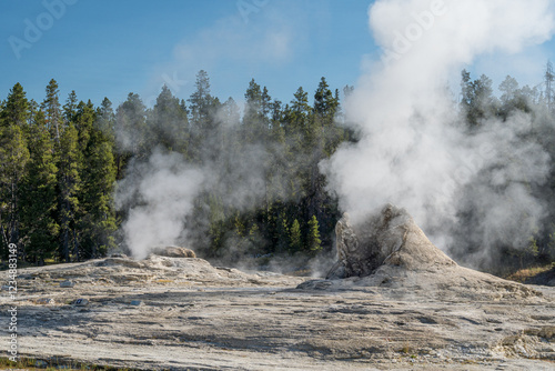 The big cone of Giant Geyser, in the Upper Geyser Basin of Yellowstone National Park photo