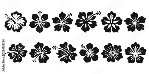 Set of tropical hibiscus flower silhouettes. SVG clipart, cut file, icon, symbol for logo, tattoo, print design. Vector Black outline illustrations isolated on white