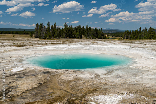 Echinus Geyser, hot spring in the Back Basin, part of the Norris Geyser Basin in Yellowstone National Park photo