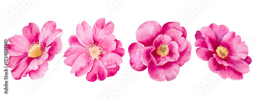 Bilde på lerret Pink watercolor camellia flowers isolated on white background