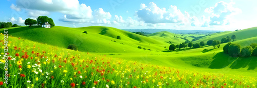 Obraz na płótnie The breathtaking view of rolling hills is adorned with vibrant, blooming flowers and a bright, clear blue sky w salonie