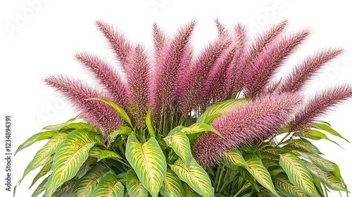 Vibrant pink foxtail grass arrangement indoor space botanical art lush greenery close-up natural beauty photo