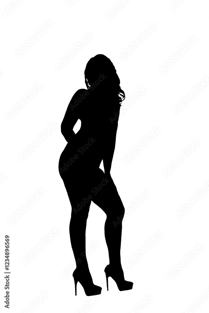 Fototapeta premium The striking silhouette of a stylish woman confidently poised in chic high heels inspires