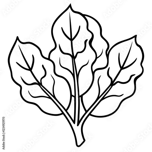 Simple Malabar Spinach One-Line Vector Art