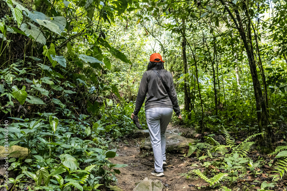 woman with cap walking in a forest with vegetation on vacation woman with cap walking in a forest with vegetation on vacation