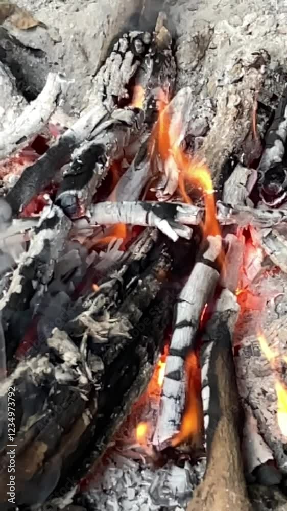 The fire that burned the wood turned into black charcoal and ashes. The fire that burned the wood turned into black charcoal and ashes.