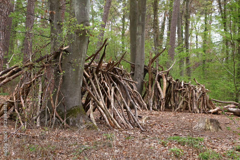 Fototapeta premium Aufgeschichtetes Totholz im Wald