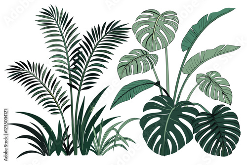 Tropical plants, lush foliage, botanical garden, tropical leaves, ferns, monstera, palm fronds, exotic greenery, jungle flora, dense vegetation, varied leaf shapes, natural arrangement, vibrant green