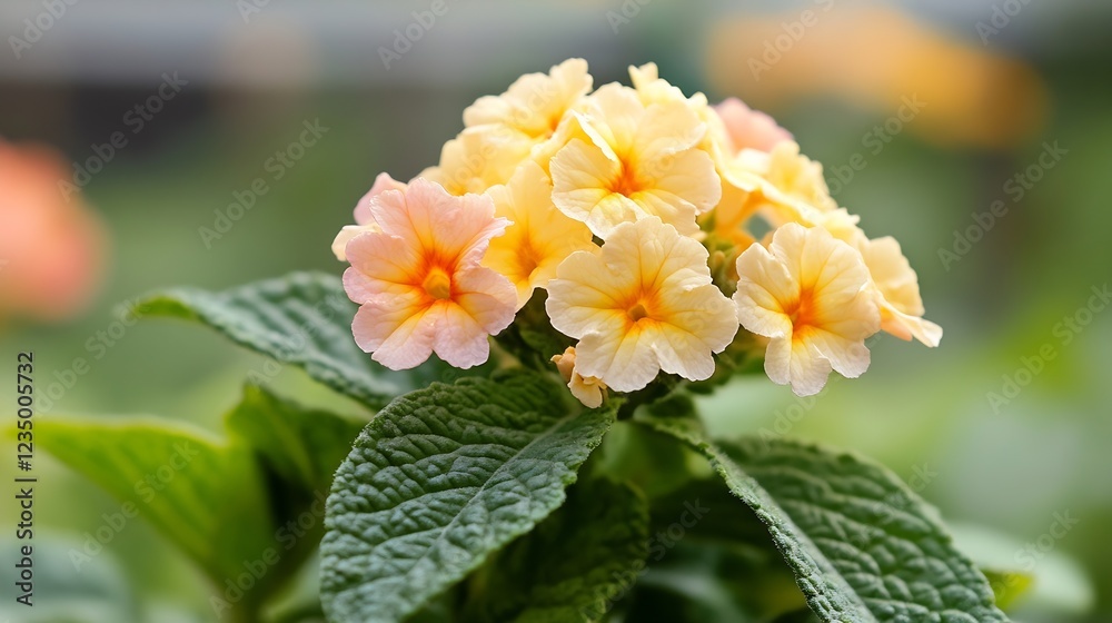 Obraz premium Yellow and Peach Lantana Blooms with Lush Green Leaves for a Vibrant Garden Scene : Generative AI
