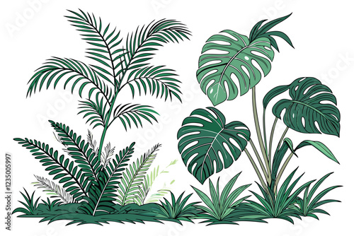 Tropical plants, lush foliage, green leaves, palm fronds, monstera leaves, ferns, jungle flora, botanical illustration, white background, isolated plant clusters, tropical garden design, landscaping e