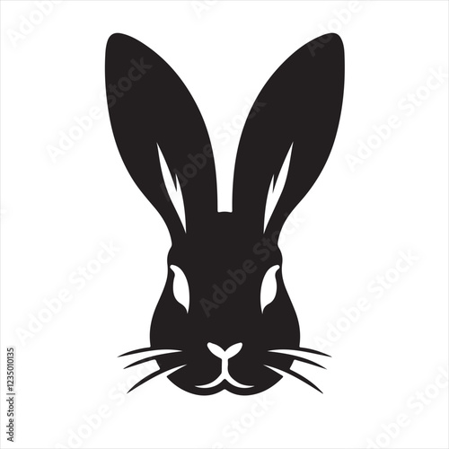 black and white rabbit