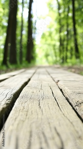 A wooden pathway runs through a lush, green forest with towering trees, evoking a sense of tranquility and nature's beauty.
