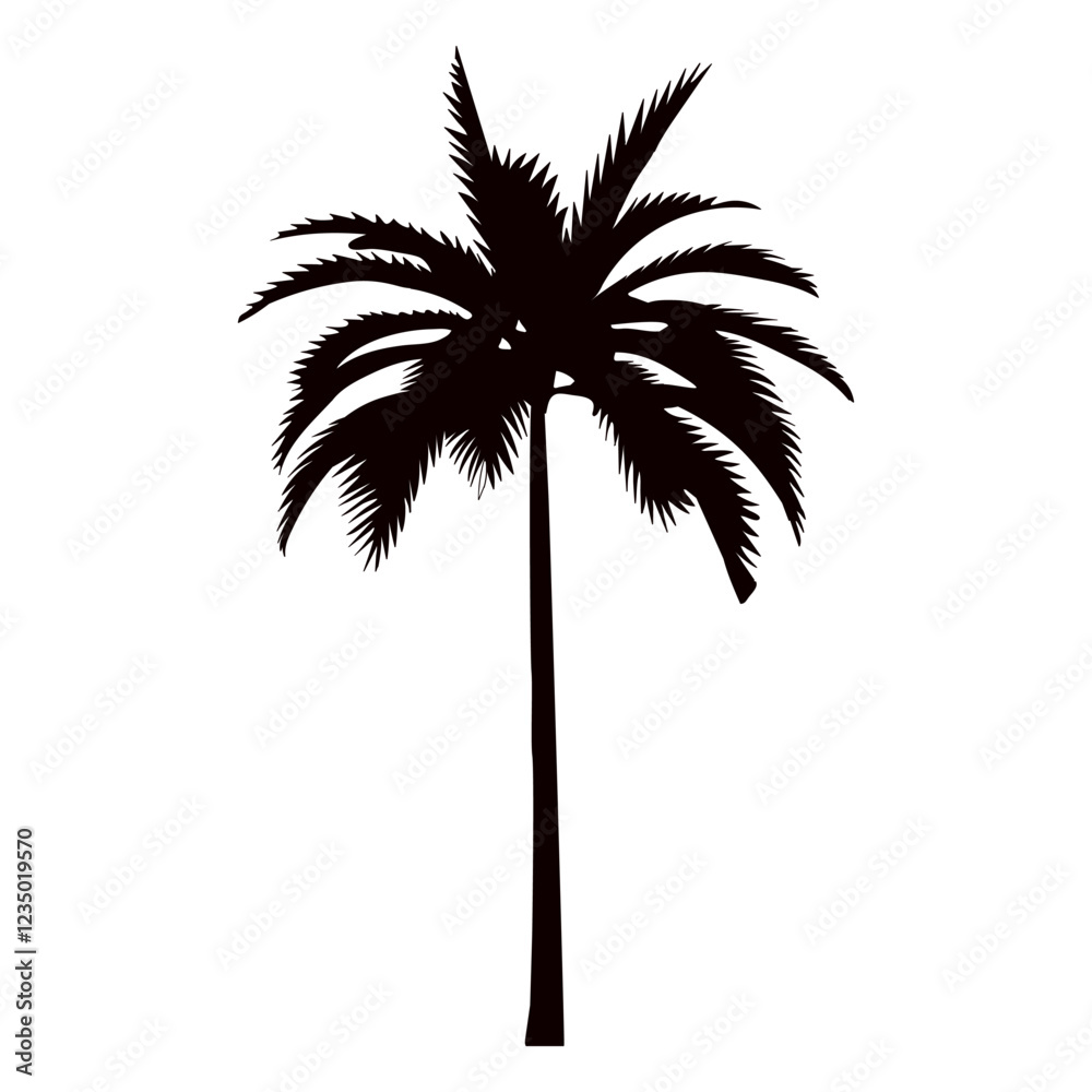 Obraz premium palm tree silhouette on white background vector