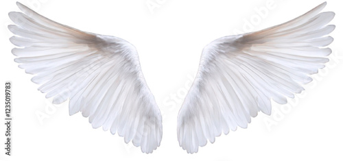 Divine Guardian Angel Wings  Pure and Mystical Symbol of Protection. Isolated, On Transparent Background photo