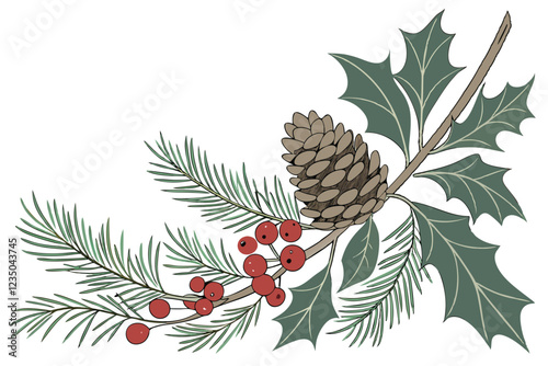  Christmas decoration, pine branches, pinecones, red berries, holly, festive arrangement, white background, botanical illustration, photorealistic, high detail, macro photography, soft lighting, holid