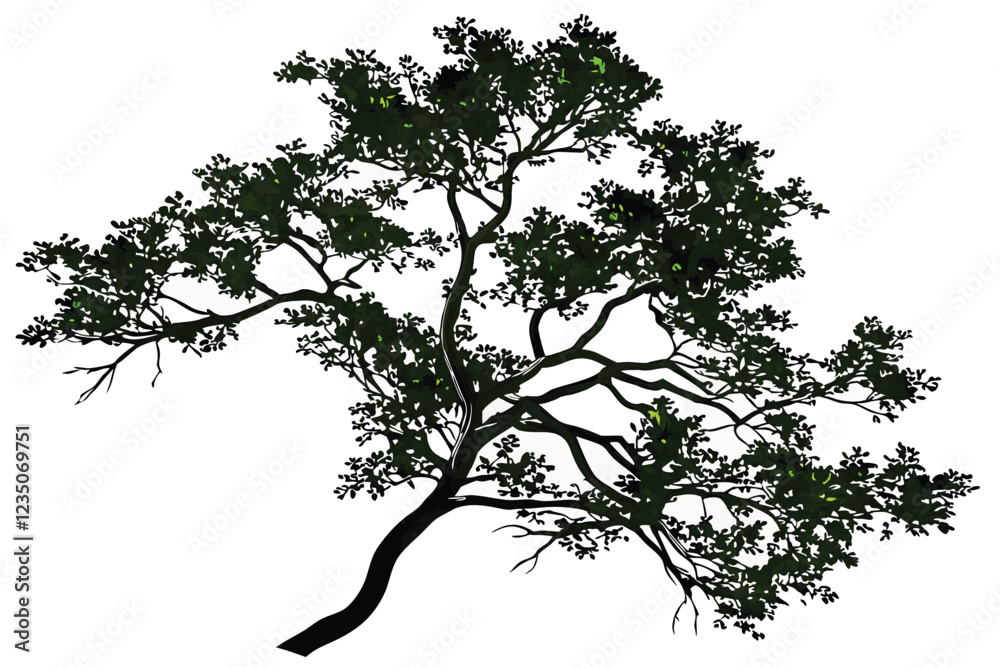 custom made wallpaper toronto digitalTop-down view, lush green tree, aerial perspective, circular shape, detailed foliage, branching structure, isolated on white background, botanical illustration, high resolution, photorealistic, symmet