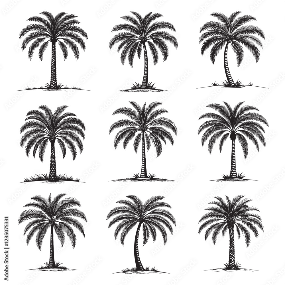 A palm tree illustration, vector art, black lines, isolated on white background, A palm tree illustration, vector art, black lines, isolated on white background,