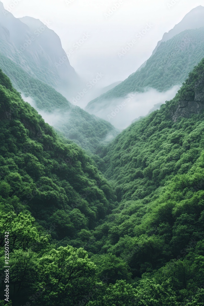 Obraz premium Lush green valley shrouded in morning mist and clouds