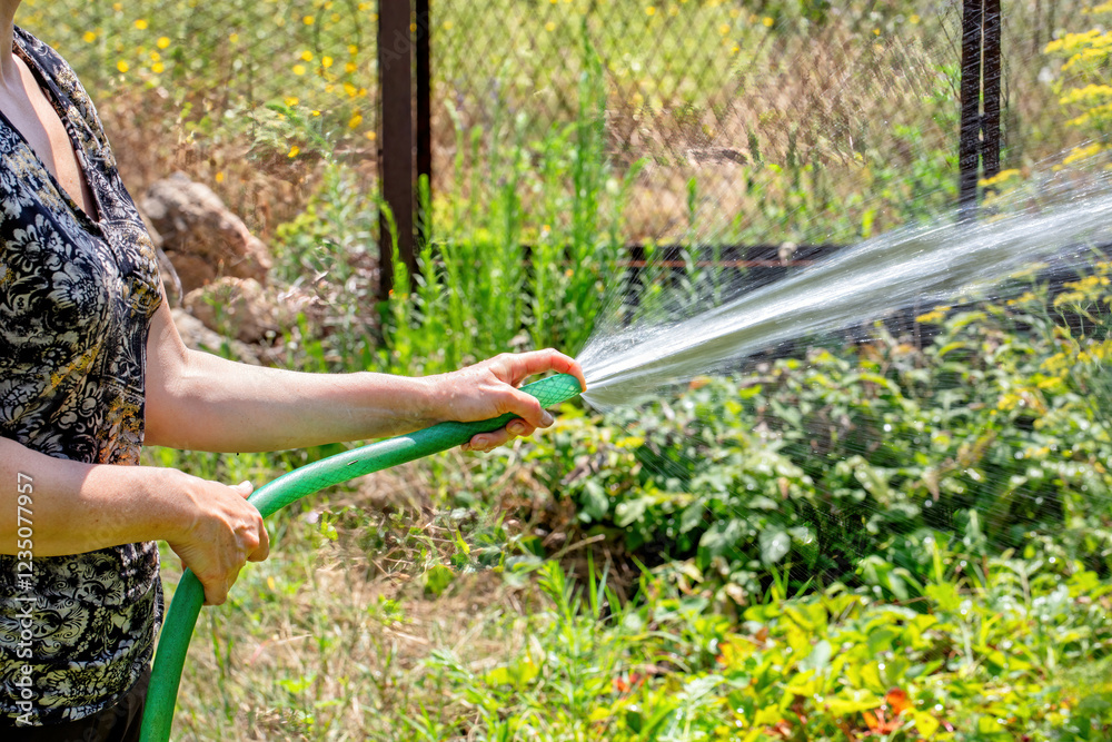 Home gardener joyfully watering vibrant plants in a sunny backyard oasis. Copy space.