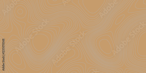 Grey curve line color background topography contour map relief land texture art, abstract contour line style geodesy geographic mountain topography vintage outdoors style seamless pattern background.