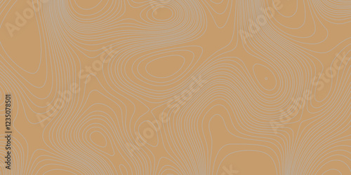 Grey curve line color background topography contour map relief land texture art, abstract contour line style geodesy geographic mountain topography vintage outdoors style seamless pattern background.