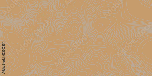 Grey curve line color background topography contour map relief land texture art, abstract contour line style geodesy geographic mountain topography vintage outdoors style seamless pattern background.